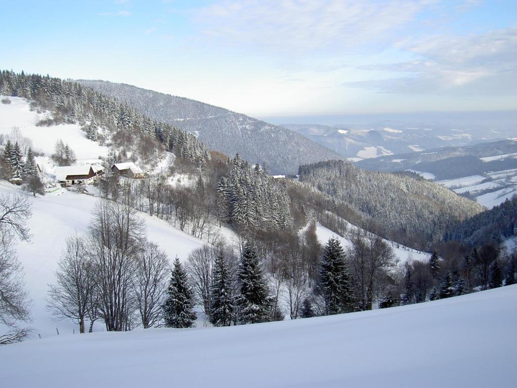 Almbauer Morgenbesser Trattenbach  Екстериор снимка